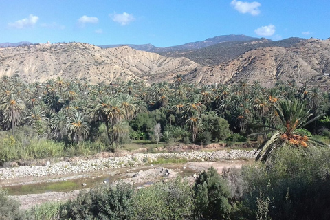 Agadir/Taghazout/Tamraght: Paradise Valley Best TourFrom Agadir: Discover Paradise Valley &amp; Swimming