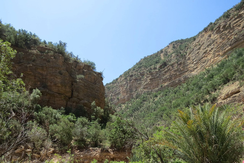 Agadir/Taghazout/Tamraght: Paradise Valley Best TourFrom Agadir: Discover Paradise Valley &amp; Swimming