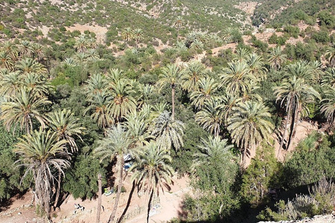 Agadir/Taghazout/Tamraght: Paradise Valley Best TourFrom Agadir: Discover Paradise Valley &amp; Swimming