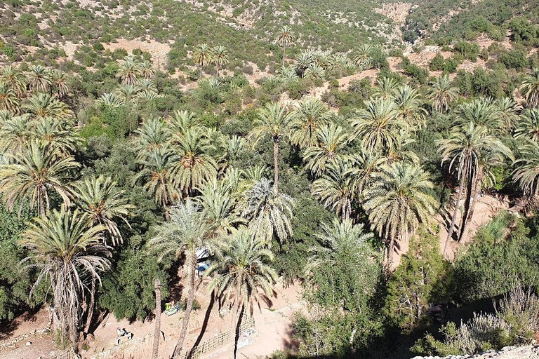 Agadir/Taghazout/Tamraght: Paradise Valley Best TourFrom Agadir: Discover Paradise Valley &amp; Swimming