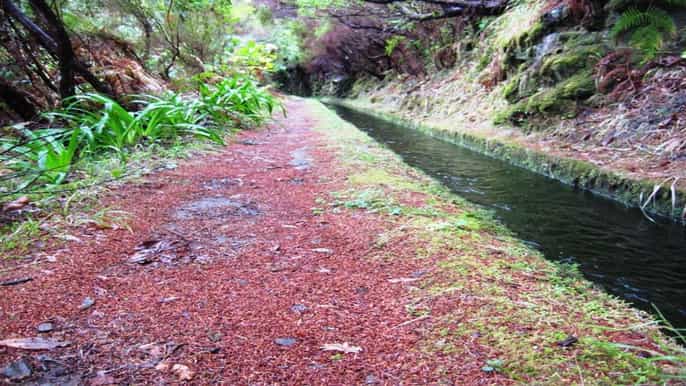 madeira private levada da rocha vermelha walk
