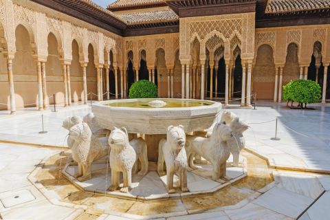 Alhambra: biglietto completo con audioguida