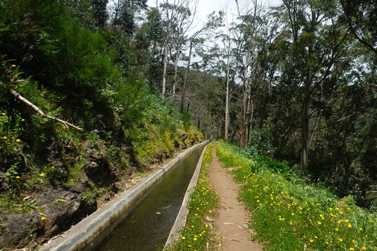 Madeira: Levada Calheta - privéwandeling door PrazeresHaal Funchal, Caniço, Cma Lobos op