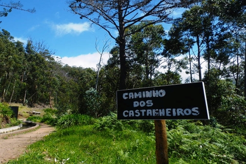 Madeira: Levada Calheta - privéwandeling door PrazeresHaal Funchal, Caniço, Cma Lobos op