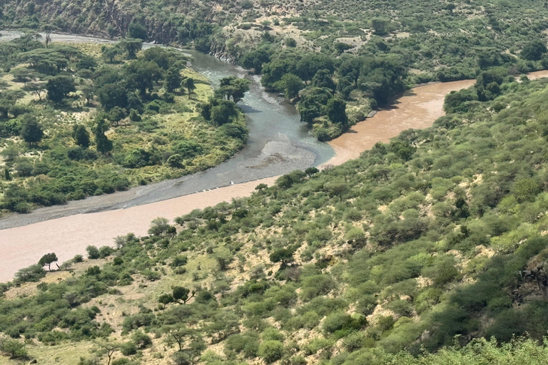Addis Ababa: Awash National Park 2-Day Safari & Volcano Hike