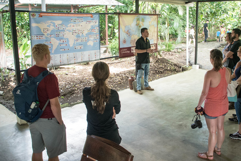 La Fortuna: Rainforest Chocolate Tour