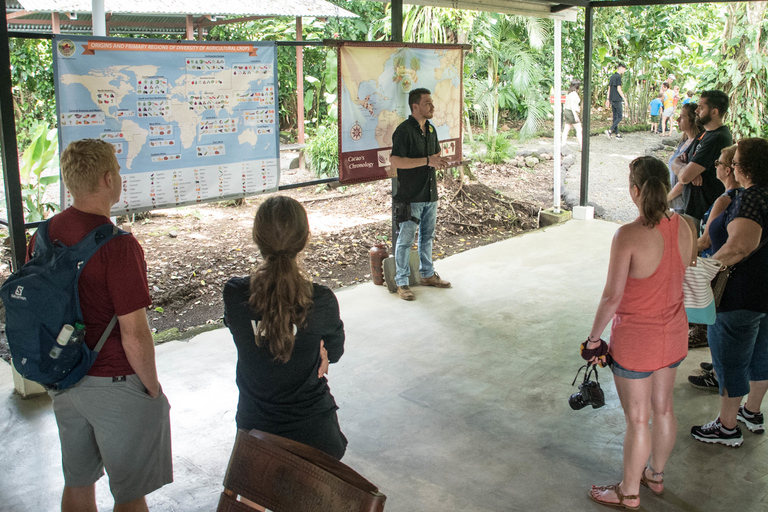 La Fortuna: Rainforest Chocolate Tour