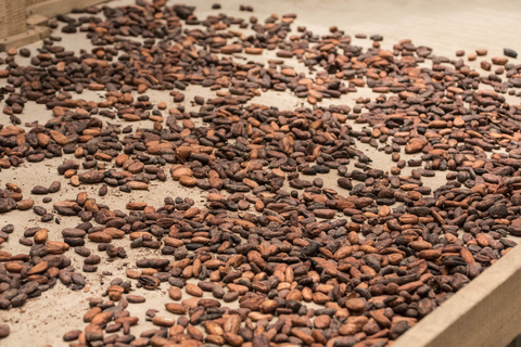 La Fortuna: Rainforest Chocolate Tour