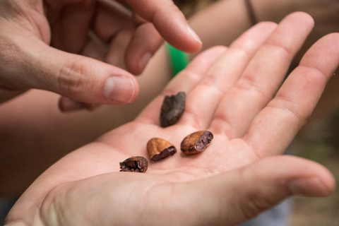 La Fortuna: Rainforest Chocolate Tour