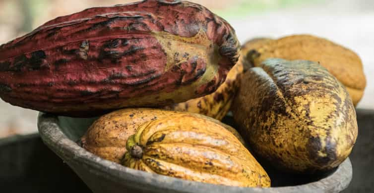 La Fortuna: Rainforest Chocolate Tour