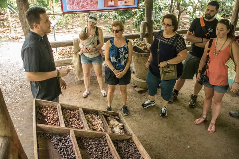 La Fortuna tour de chocolate en la selva tropical GetYourGuide