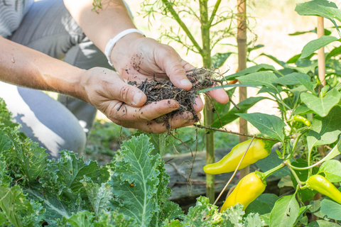 Lyon: tour gastronómico por el campo y clase de cocina con un chef