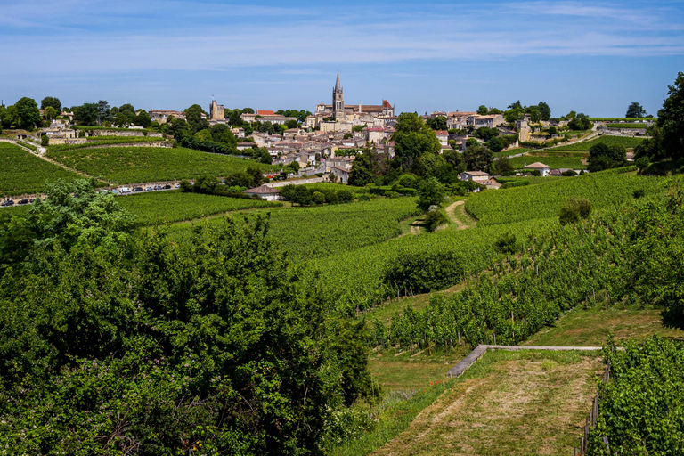 Visite d&#039;une demi-journée de Saint Emilion à vélo et en voiture avec pique-nique