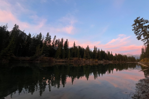 Banff: Grizzly Bear & Nature Walk & Hidden Gem Sunset Tour