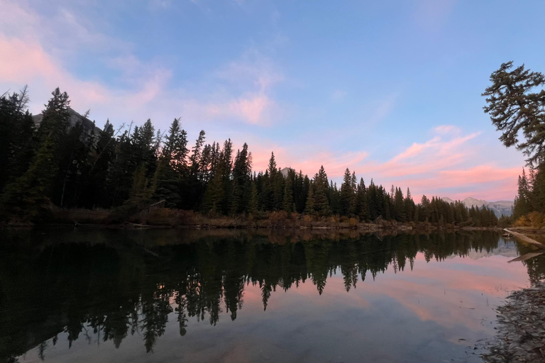 Banff: Grizzly Bear & Nature Walk & Hidden Gem Sunset Tour