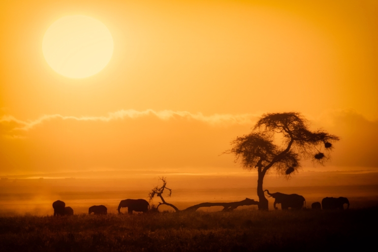 Parque Nacional Amboseli: Noche y SafariAlojamiento durante la noche en el Sopa Lodge