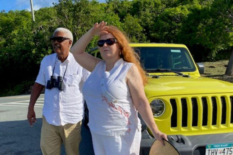 St. Thomas: Beach Hopping and Scenic Lookout Tour