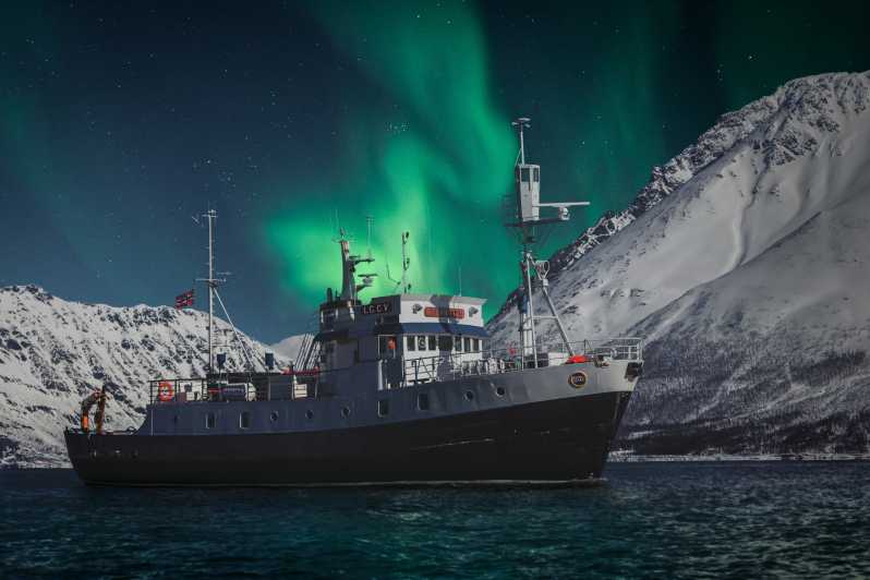 Fra Tromsø: 4-timers nordlys fotocruise