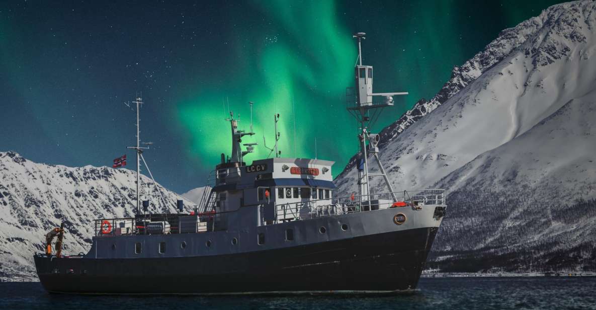 Tromsø: crociera fotografica con ricerca dell'aurora boreale