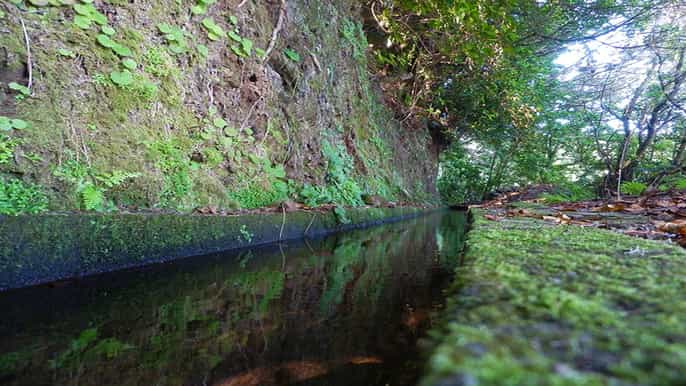 madeira private levada da silveira walk