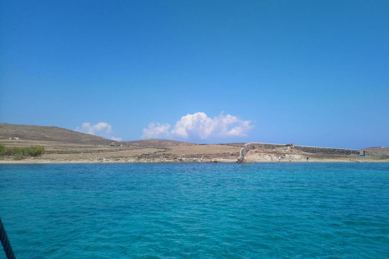 Mykonos : Visite privée de Rhenia en bateau avec déjeuner et boissonsVisite privée