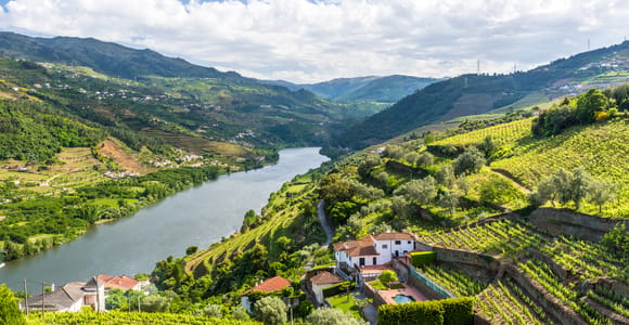Vanuit Porto: Hele dag Douro historische tour