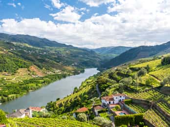 Da Porto: Tour storico del Douro di un giorno intero
