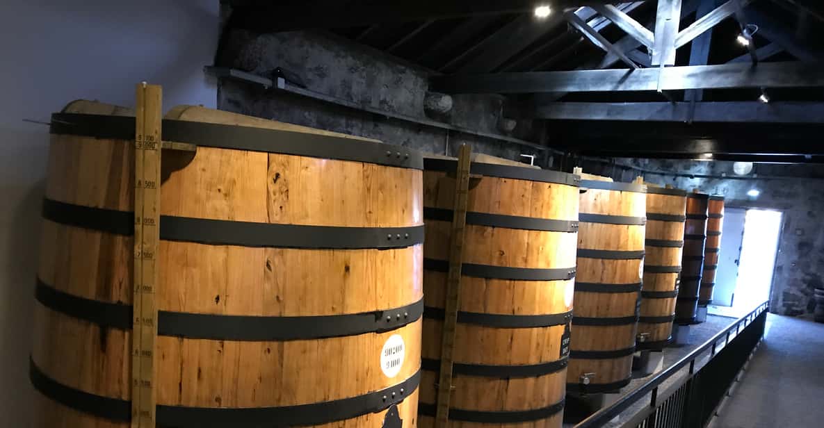Porto: Douro Valley Tour with Wine Tasting, Cruise and Lunch