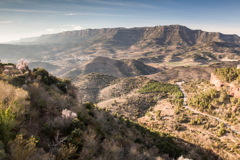 From Agadir: Discover Paradise Valley & Swimming