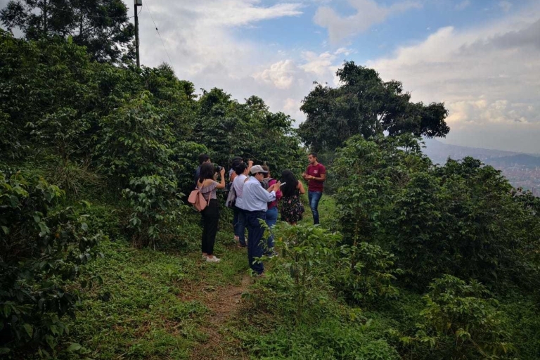 Medellin: Prywatna 4-godzinna wizyta na farmie kawy