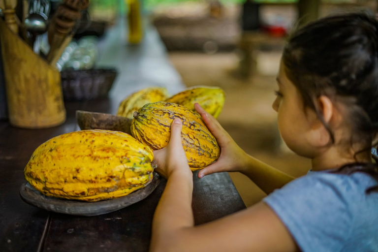 La Fortuna: Rainforest Chocolate Tour