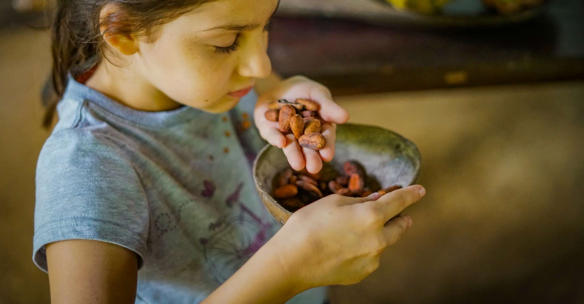 La Fortuna, Rainforest Chocolate Tour - Housity