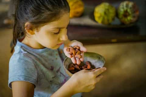 La Fortuna: Rainforest Chocolate Tour