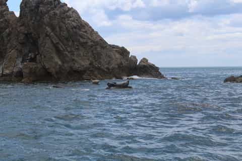 Vladivostok: Cruise Trip