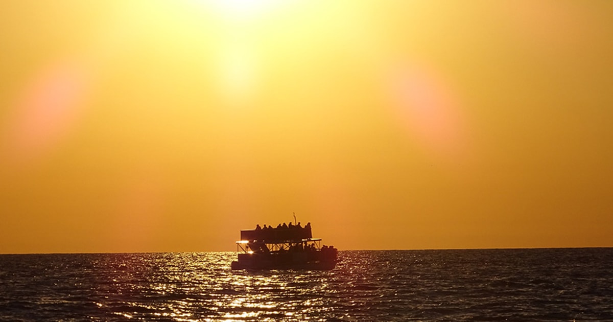 Panama City Delfin Kreuzfahrt Bei Sonnenuntergang In Der St Andrews