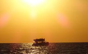 Panama City: Sunset Dolphin Cruise in St. Andrews Bay