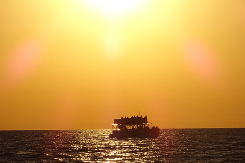 Panama-stad: dolfijncruise bij zonsondergang in St. Andrews Bay