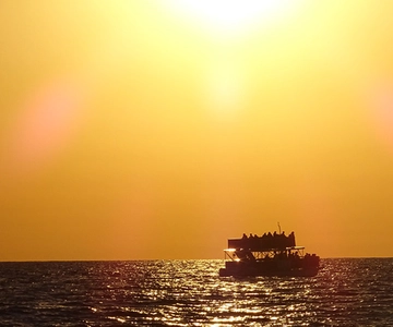 Panama City: Sunset Dolphin Cruise in St. Andrews Bay