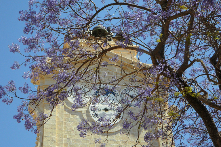 Rhodes: Old Town Private Walking Tour with an Expert Guide Rhodes Old Town: Private Walking Tour with an Expert Guide