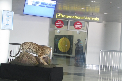 Victoria Falls: privéluchthaventransfer naar hotelVictoria Falls naar luchthaventransfer