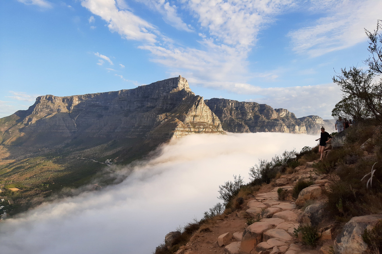 Cape Town: Lion's Head Sunrise or Sunset Hike Sunrise or Sunset Hike with Drop-Off