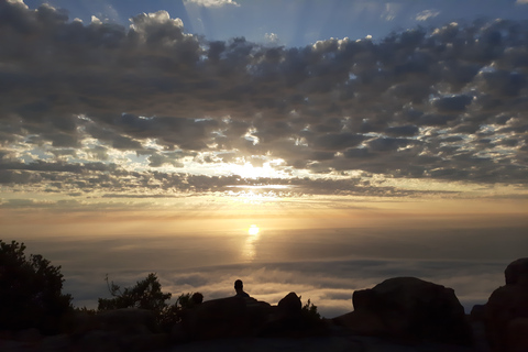 Cape Town: Lion's Head Sunrise or Sunset Hike Sunrise or Sunset Hike with Drop-Off