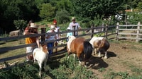 Volos, cuisiner comme un local dans une ferme grecque - Hizvo