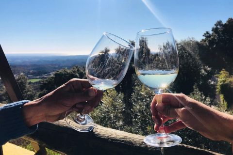 De Albufeira: tour de meio dia pela vinícola e Silves