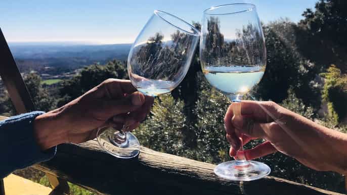 fra albufeira halfday winery tour and silves