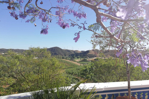 Depuis Albufeira: visite d'une cave d'une demi-journée et Silves