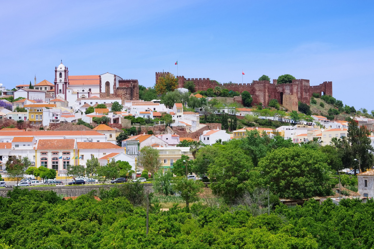 Depuis Albufeira: visite d'une cave d'une demi-journée et Silves