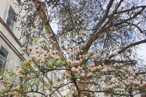 Wenen: Verborgen binnenplaatsen Rondleiding