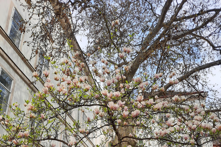 Wenen: Verborgen binnenplaatsen Rondleiding