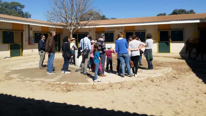 madri excursão guiada pelo hipódromo de zarzuela